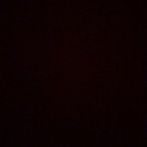 Meet your Posher, Saanvi